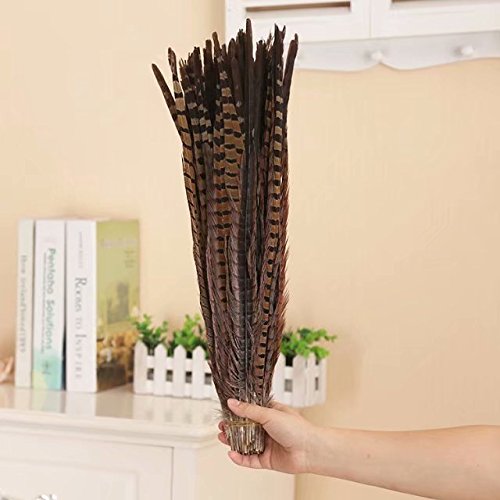 Celine Lin 10Pcs Natural Pheasant Feathers Pheasant Tails 14-16Inch(35-40Cm),Natural #TOP3