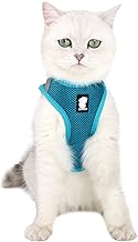 Cat Harness & Leash Set Escape Proof Reflective Adjustable Soft Mesh Padded Pet Harness for Puppy Kitten Outdoor Walking