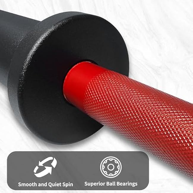 16 Olympic Dumbbell Handle, Loadable Dumbbells for 2-inch Olympic Weight Plates, Dumbbell Bar for Home Gym Strength Training, 2 Pair of Spring Collars Included