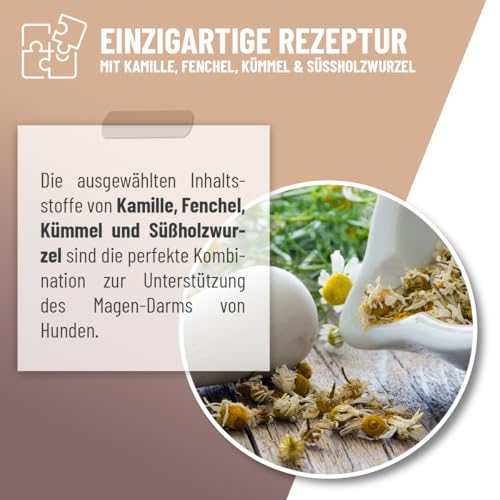 ReaVET Magen & Darm Tropfen für Hunde 100ml I Darmsanierung Hund – Unterstützt die natürliche Verdauung & Darmflora, Darmregulierung - sekundierend bei Durchfall oder Blähungen