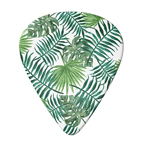 Lot de 6 médiators transparents en forme de feuille de palmier pour guitare acoustique, guitare électrique, basse… - Les Beatles, Paul McCartney, John Lennon, RIngo Starr, George Harrison Lot de 6 médiators transparents en forme de feuille de palmier pour guitare acoustique, guitare électrique, basse… – Image 4
