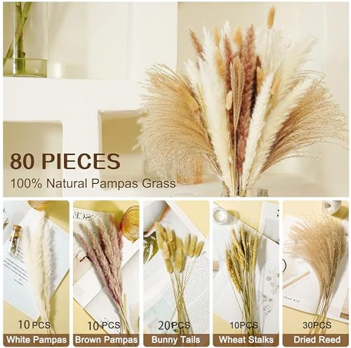 Pampas Grass Large 80 Pcs Dried Pampas Grass Decor Flores miniatura 7