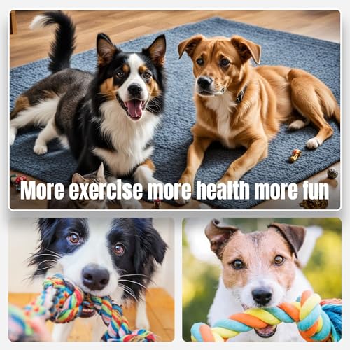 Image of Dog Rope Toys for Large /Medium Aggressive Chewers Tough Rope Chew Toy with Easy Hold Handle, Indestructible Natural Cotton Tug Rope (Rope Dog Toy Set - 3)