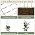 2 Set 32'' Taller Plant Trellis for Climbing Plants Indoors & Outdoor, Garden Metal Trellis Plant Support for Potted Plants, Houseplants, Flowers Vine, Ivy, Pothos, Monstera