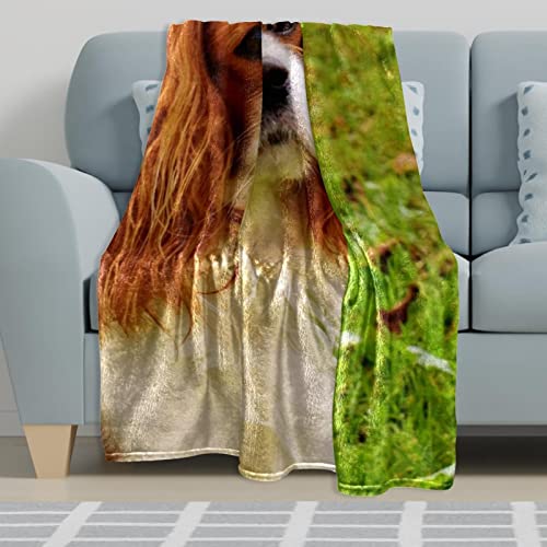 Couvre-lit chien moelleux et couverture de lit douce pour enfants