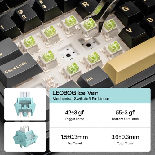 EPOMAKER X Aula EA75 MAX Wireless Gaming Keyboard with Screen & Knob, 5000mAh, Hot-Swap, Lubed Switches, RGB Backlit, Creamy Gasket, 75% Mechanical Keyboard (Black, Ice Vein Switch) by EPOMAKER - Image 5