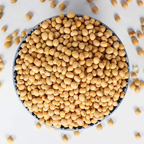 Organic Delight Store Organic Delight High Protein Soyabean 900g - Image 7