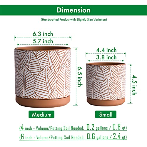 Set Of 2 Terracotta Pots, Broadleaf Pattern Planter Pot, 4 Inch And 6 Inch, Pot With Drainage Hole And Saucer, Terracotta/White, 31-958-H-1 #TOP2