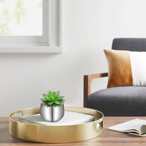 Miniatura 6 de Briful Pequeñas suculentas artificiales en macetas, juego de 2 plantas suculentas realistas con macetas de cerámica plateadas, lindas mini plantas