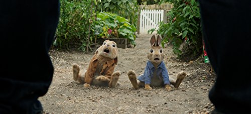 Peter Hase – 4K Blu-ray (UHD + Blu-ray Disc)
