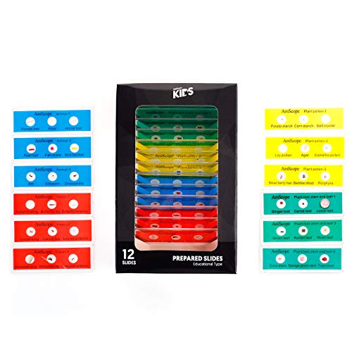 Find The Best Prepared Microscope Slide Set Reviews & Comparison Katynel