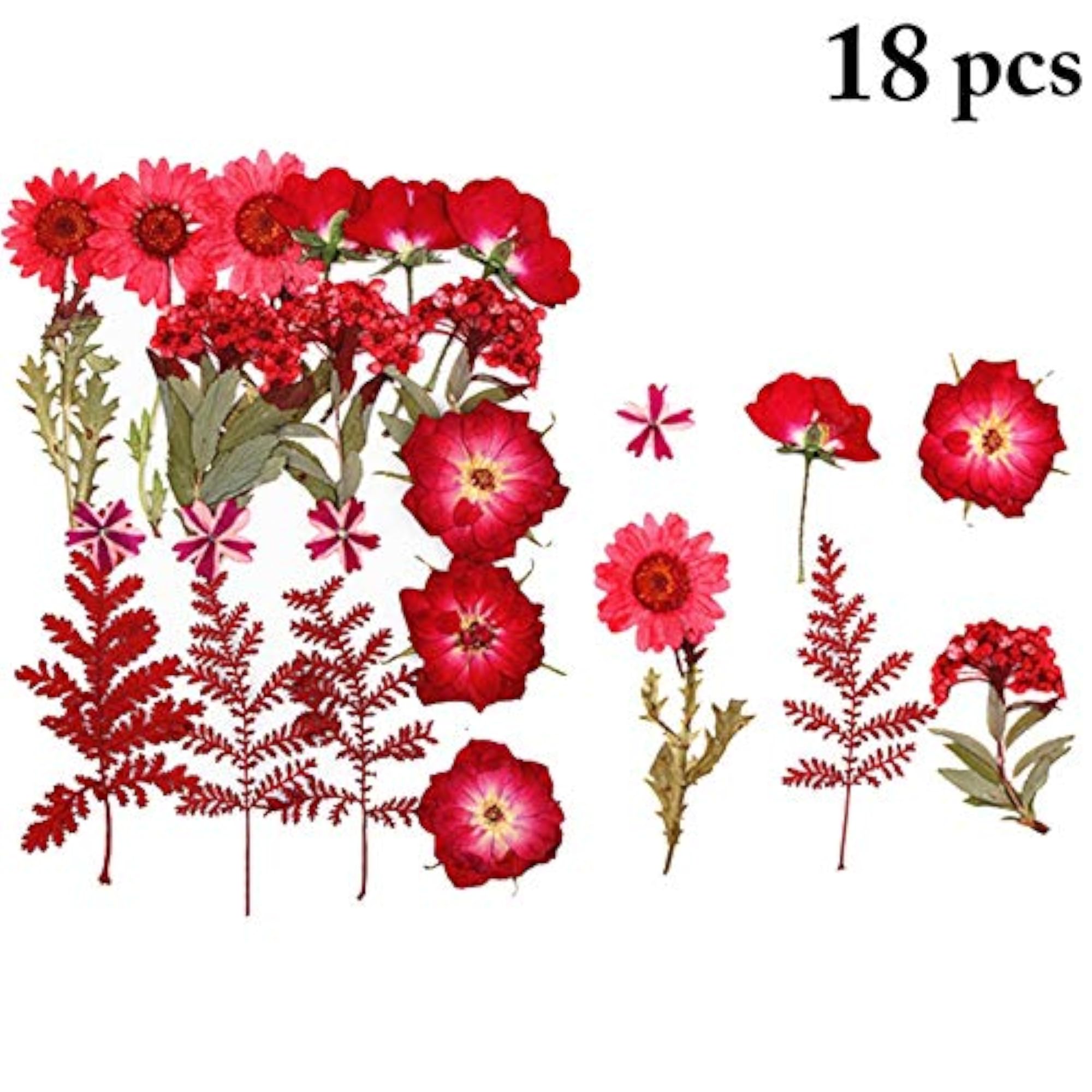 Dried Pressed Flowers Creative Natural Dried Craft Flowers DIY