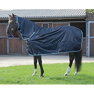 Horse Turnout Blanket Sun Protection Windproof Waterproof Horse Turnout Rug (75)