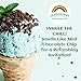 Lubilicious Mint Chocolate Chip Lube 2 Pack - Tasty Mint Chocolate Chip Lubricant, Smooth Lube Mint Chocolate Chip, Edible Flavored Lube for Couples, Non-Sticky Edible Lube