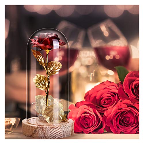 Rosa Eterna Regalo Bella y Bestia Cover