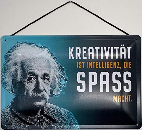 Blechschild Con cordón 30 x 20 cm Albert Einstein: la creatividad es la inteligencia, la diversión.