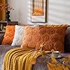 COSIBONO Pumpkin Fall Decorative Throw Pillow Covers 18"x18", Set of 2 Rust Red Soft Faux Fur Pillow Covers for Autumn Harvest, Fluffy Plush Accent Pillow Cases for Farmhouse Couch Cushion Covers #5