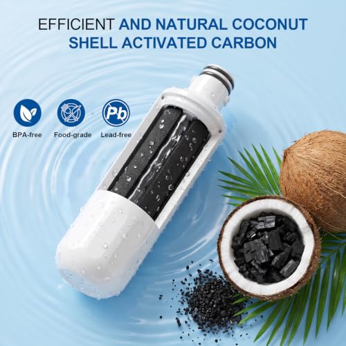 Image of LT1000P Water Filter Replacement for LT1000PC, ADQ74793501,ADQ74793502