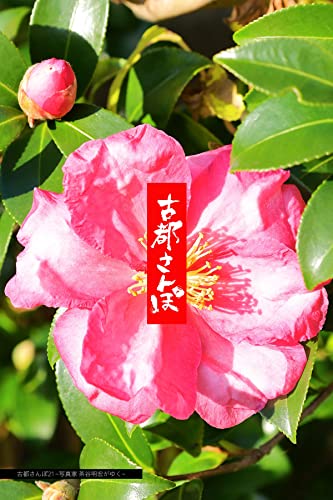 古都さんぽ21 ~写真家 茶谷明宏がゆく~ (Mファクトリー)