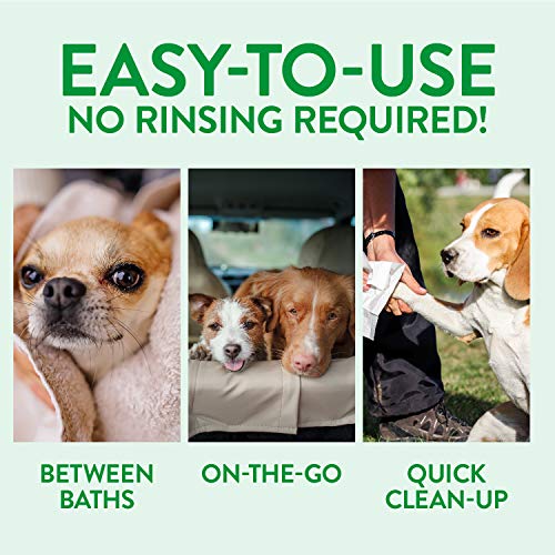 TropiClean Hypoallergenic Waterless Dog Shampoo | Dry Shampoo for Dogs With Sensitive Skin | Natural Dog Shampoo Derived… - Image 2