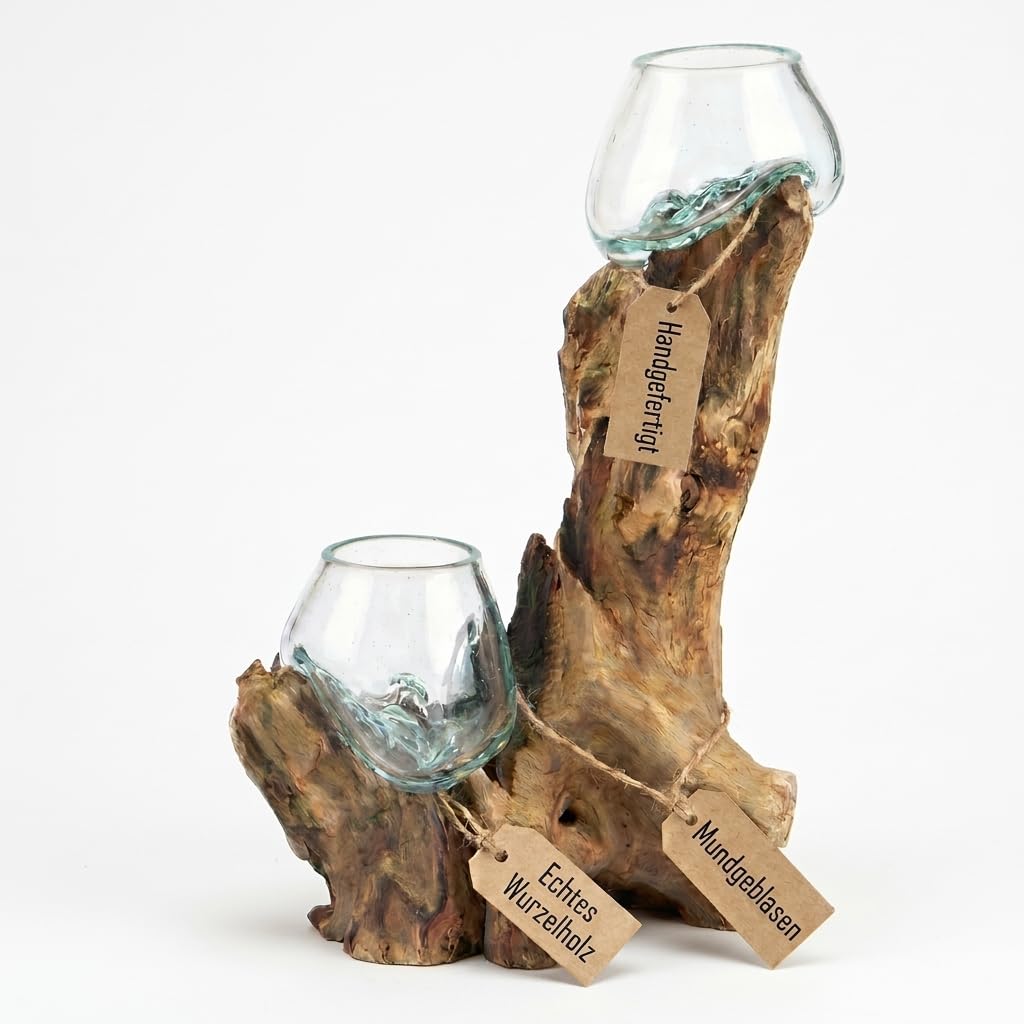 Glasvase Doppel (Ø Glas 12 cm) – Deko Vase aus Handarbeit auf Wurzelholz Gamal mit abnehmbarem Glas, Wohnzimmer Deko, geeignet als Blumenvase oder Kerzenglas Do12
