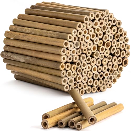 Rivajam 125 Bamboo Sticks for Crafts Supplies | Bamboo Craft Sticks & Mason Bee Tubes for Mason Bee House | Bamboo Reed Mason Bee Straws for Solitary Bee Box Bee Hotel & Pollinator Gardens