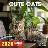 Cute Cats Calendar 2026: A year of adorable feline charm