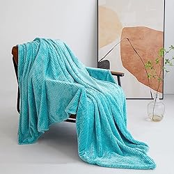 Ouinne 150X200CM,Manta Microfibra para Cama,Manta Microfibra para Cama Sofá y Sillón, Manta Polar Lisa de Tacto Suave Super Caliente para Adulto y Niño,Sin Arrugas 900g