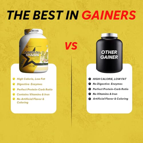 Image of BIG ROCK NUTRITION Animal Mass Weight Gainer Protein Powder for Men and Women, Increase Stamina with Natural Protein & Carbs (Kesar Pista, 2.7Kg / 6Lbs, 54 Servings)