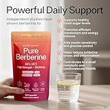 Sacred Summit Pure Berberine 500mg – 10:1 Extract (5000mg Equivalent) – Vegan Capsules Made in UK – Premium Plant-Based Supplement for Everyday Balance and Vitality – 90 Capsules - Image 4
