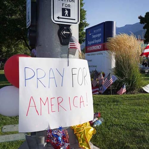 What’s driving political violence in America? cover art