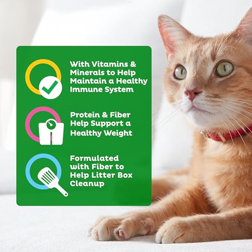 9Lives Indoor Complete Dry Cat Food, 20 lb. Bag