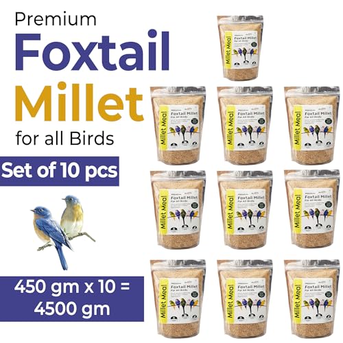 Image of REFIT ANIMAL CARE Foxtail Millet for Birds | Kangni Seeds | Bird Food | 450 gm X 10 | Pack of 10