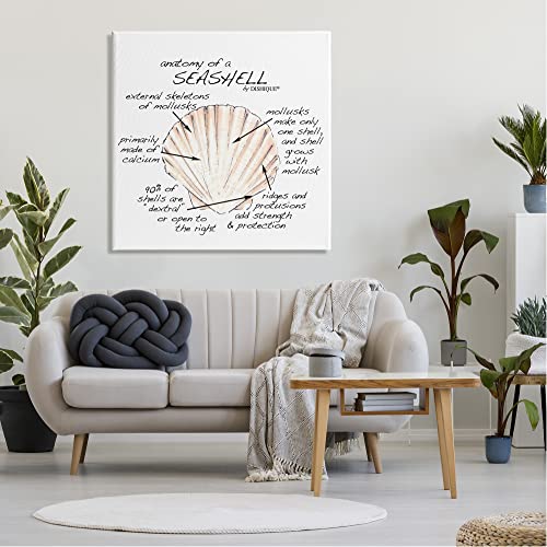 Image of 'Anatomy of Seashell Educational Marine Life'| Canvas Art | Stupell Industries | 36 x 36 Inches, Easy to Hang and Sturdy, Made in USA, by Dishique