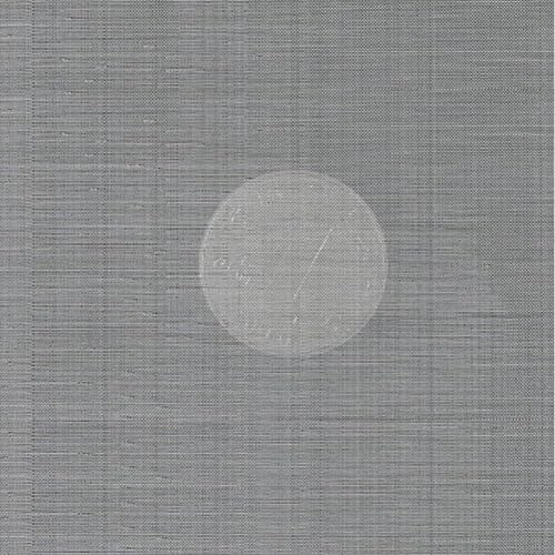 Bilaida 産業用金網 120メッシュ 線径0.07mm 網目0.13ｍｍ ステンレス平織金網 メッシュ 濾過網 耐高温 防鼠 防虫 (120メッシュ 幅600x巻1000mm)