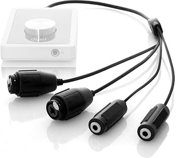 51I-uKYJoLL._AC_UF350,