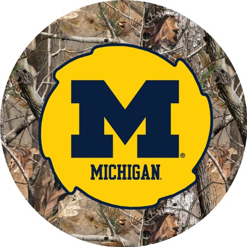 Penn State Nittany Lions 5x6 Inch Camo Swirl Magnet Single Officially Licensed Collegiate Product