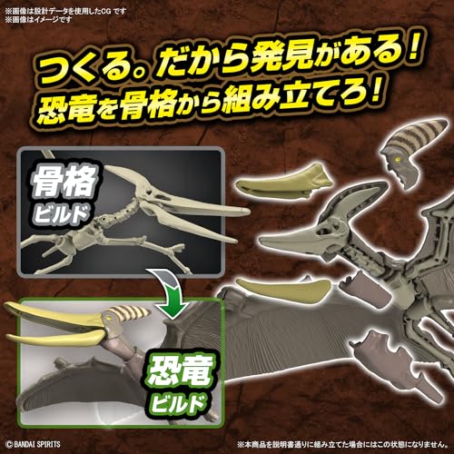 Bandai Pteranodon - vue 6