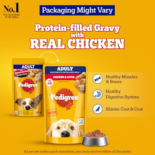 Pedigree-Adult-Wet-Dog-Food-Chicken-Liver-Chunks-in-Gravy-130-g-Pack-of-12-Made-with-Real-Meat-Protein-100-Complete-Balanced-Meal-for-Adult-Dogs