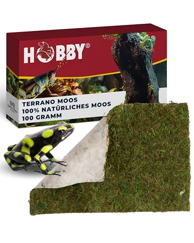 HOBBY - Dohse - 34095 - Terrano Moos Dekoration