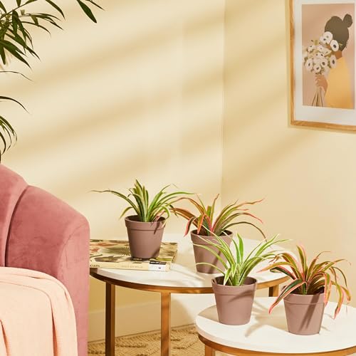 Image of amazon basics Artificial Plants with Pot| Dragon Grass| Lifelike Appearance | Durable Plastic | No Maintenance | Home Decor | Dimensions: 10 cm X 23 cm (Pack of 4)