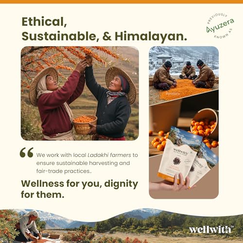 Image of Wellwith Sea buckthorn Dry Berry 100g (Pack of 1) - Natural, Sun-Dried, Rich in Omega 3,6,7 and 9, & Vitamin C, E | Dried Seabuckthorn Berries | No Added Sugar or Preservatives