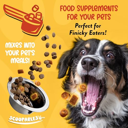 Image of NaturVet Advanced Probiotics for Dogs Scoopables Food Topper - 11oz