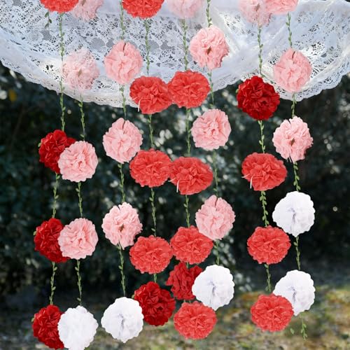 Guirlande de pompons en papier de soie pour célébrer vos moments de bonheur en couleur