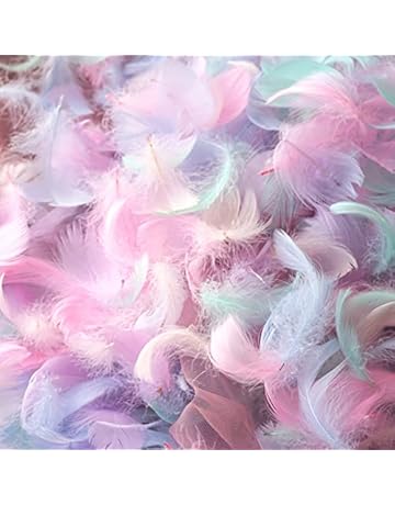 羽根 Amazon Co Jp 羽根 Amazon Co Jp