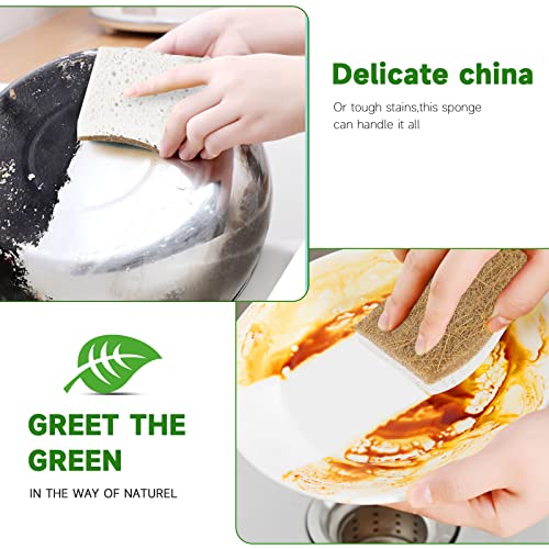 Aerozz 10 Pack Biodegradable Sponges - Sponges Kitchen Natural Sponges For Dishes Natural Sponge Dish Sponge - Eco Friendly Sponges Natural Kitchen Sponge #TOP3