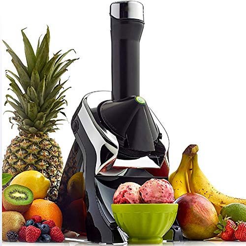 ALY Heladera para Hacer Helados Caseros y Sorbetes Heladera de Frutas Máquina