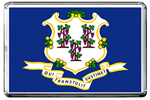 CFL 0144 CONNECTICUT FLAG FRIDGE MAGNET STATE OF USA FLAG REFRIGERATOR MAGNET