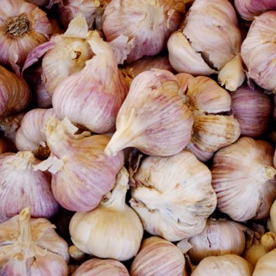 Fresh Ginger, Garlic and Shallot Set