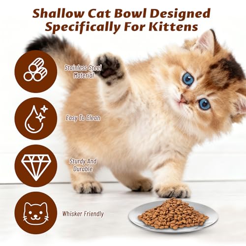 6 Stück Katzennapf Edelstahl, 6.3 Zoll Futternapf Katze Flach für Katzen, Fressnapf Katze, Anti Whisker Fatigue Katzengeschirr Set, Flacher breiter Futter- und Wassernapf für Kleine Katzen und Hunde